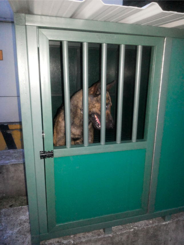 CANILES-PLASTICOS-PARA-PERROS-DE-SEGURIDAD4