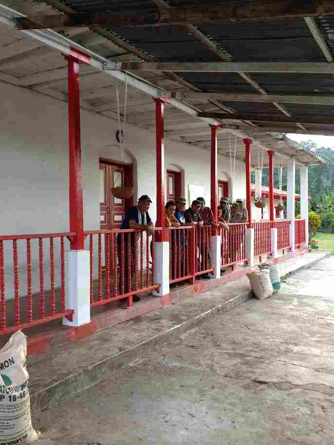 cerramiento-plastico-finca-cafetera3