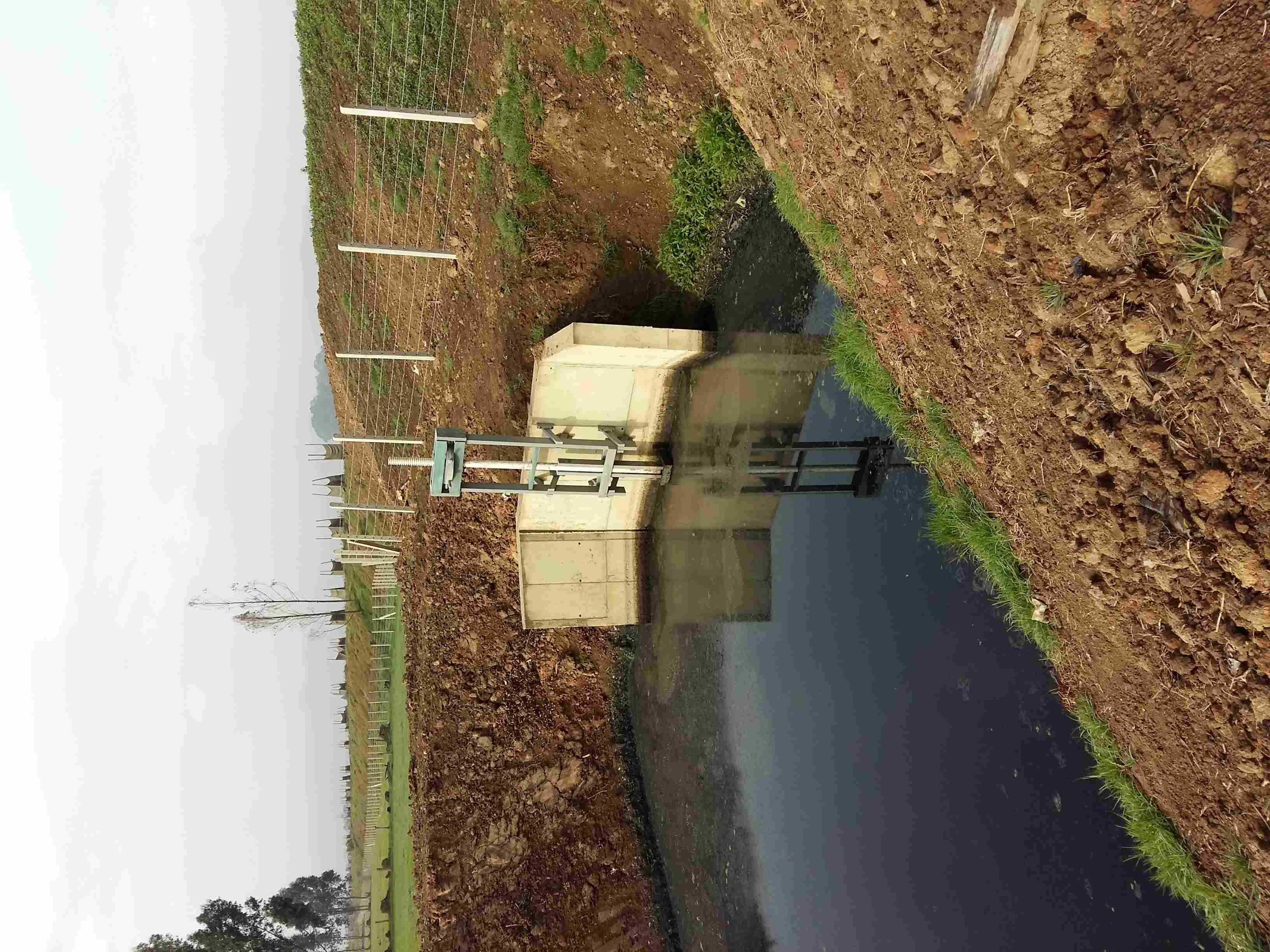 COMPUERTAS-PLASTICAS-PIVOTANTES-CON-ACTUADOR-PLASTICO2